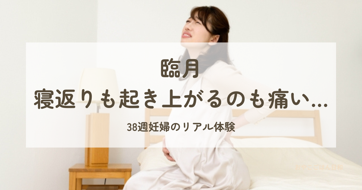 臨月の妊婦さんが寝返りも起き上がるのも痛いイメージ